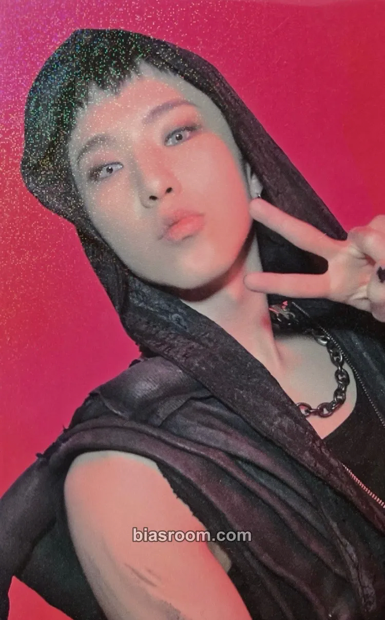 Hoshi HAPPY BURSTDAY Photocard - SEVENTEEN - SEVENTEEN K-pop photocard