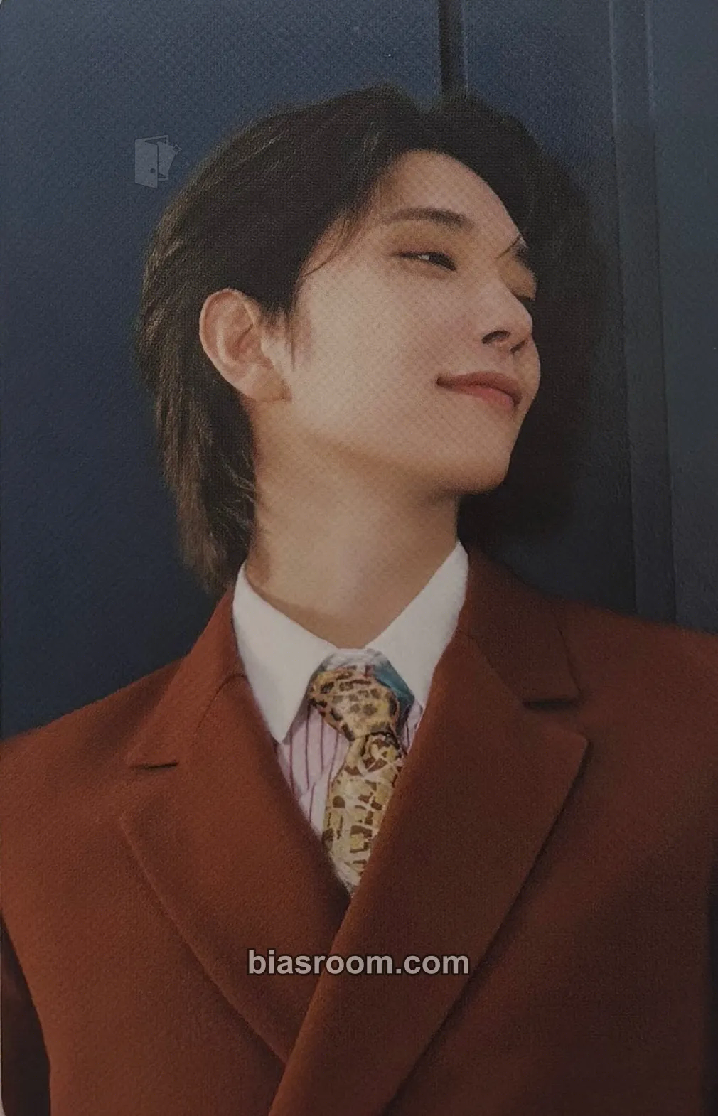 Joshua Spill the Feels Photocard - SEVENTEEN - SEVENTEEN K-pop photocard
