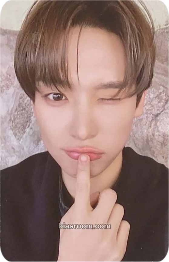 Inseong About Love Photocard - SF9 - SF9 K-pop photocard