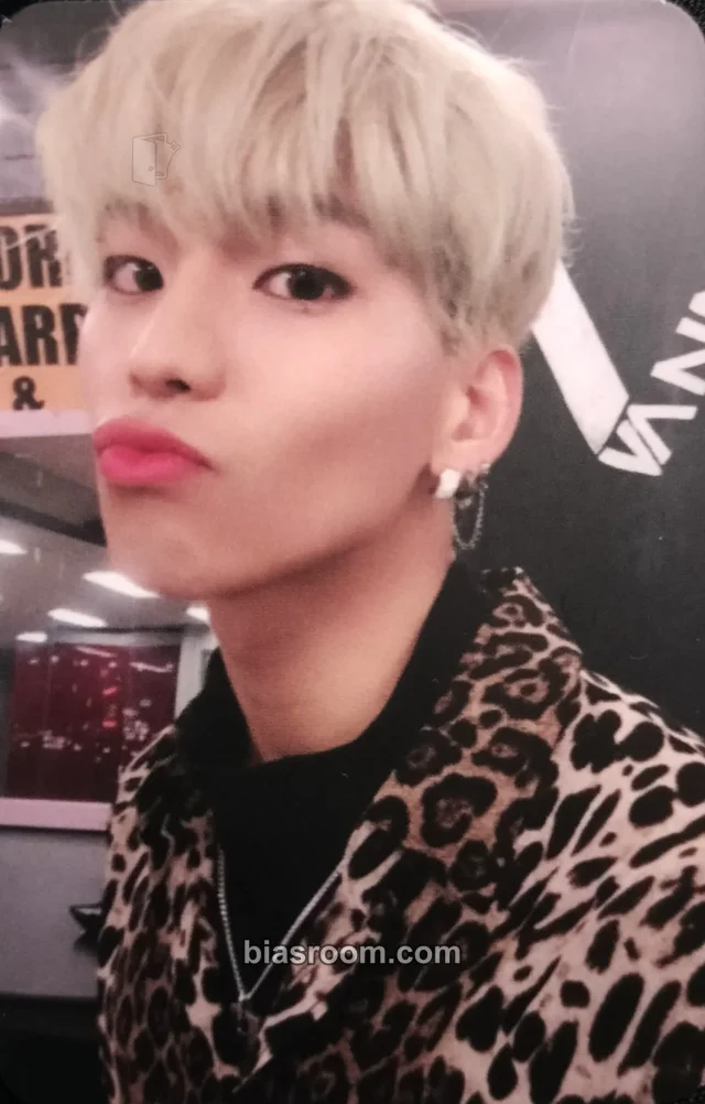 VANNER - Gon - V Album album photocard