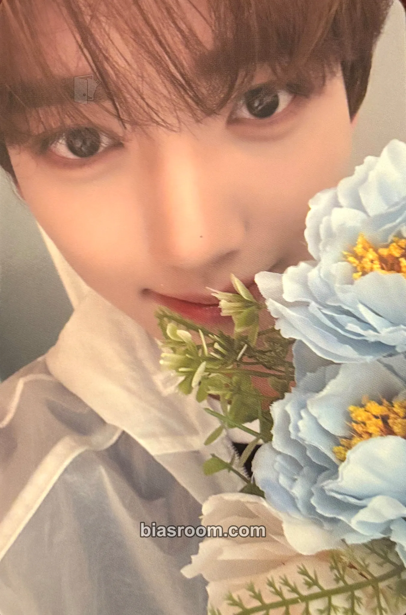 Yujin Cinema Paradise Photocard - ZEROBASEONE - ZEROBASEONE K-pop photocard
