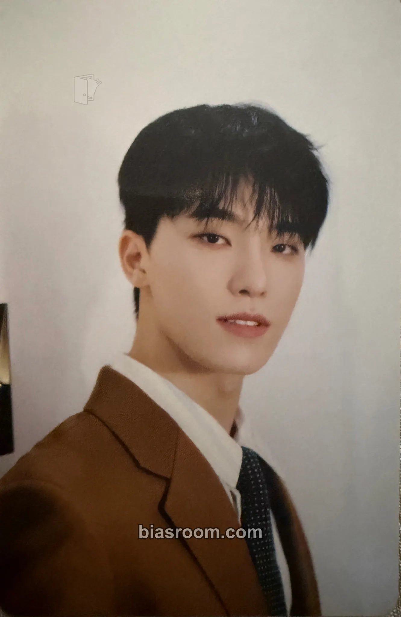 Dino Spill the Feels Photocard - SEVENTEEN - SEVENTEEN K-pop photocard
