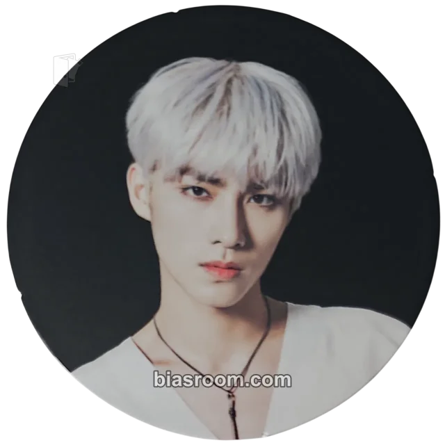 WayV - Xiaojun - Take Over The Moon: Sequel Album circle card album inclusion