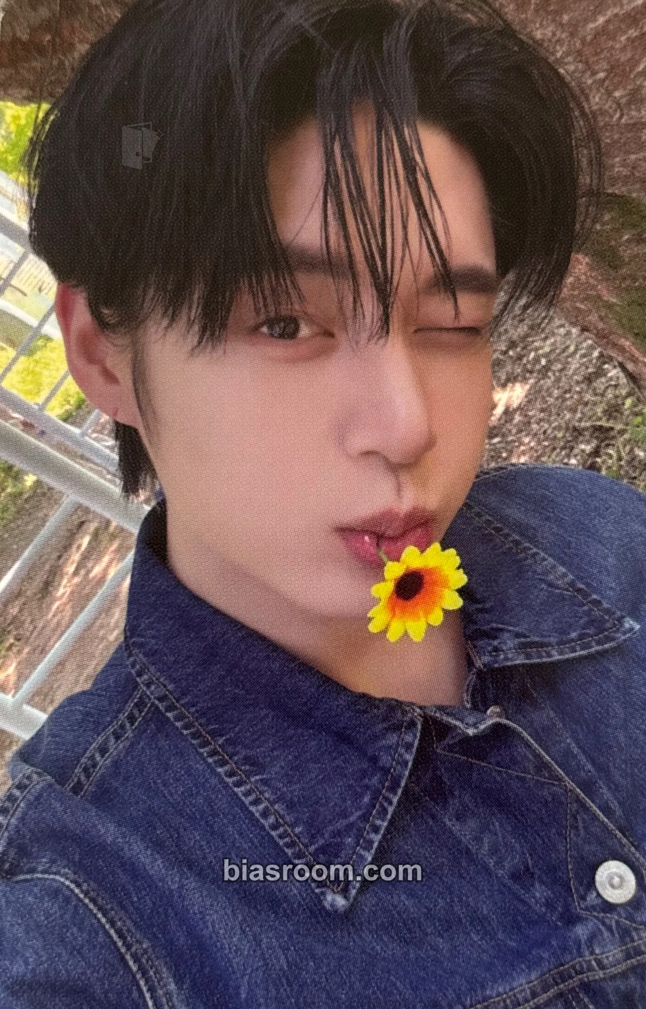 Jiwoong Never Say Never Photocard - ZEROBASEONE - ZEROBASEONE K-pop photocard
