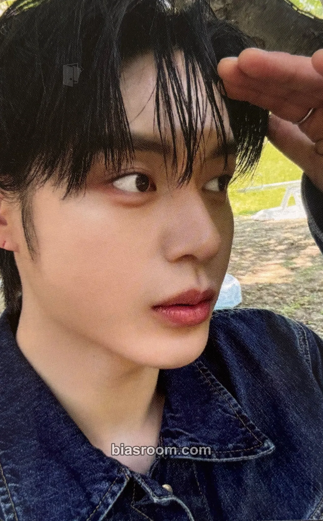 Jiwoong Never Say Never Photocard - ZEROBASEONE - ZEROBASEONE K-pop photocard