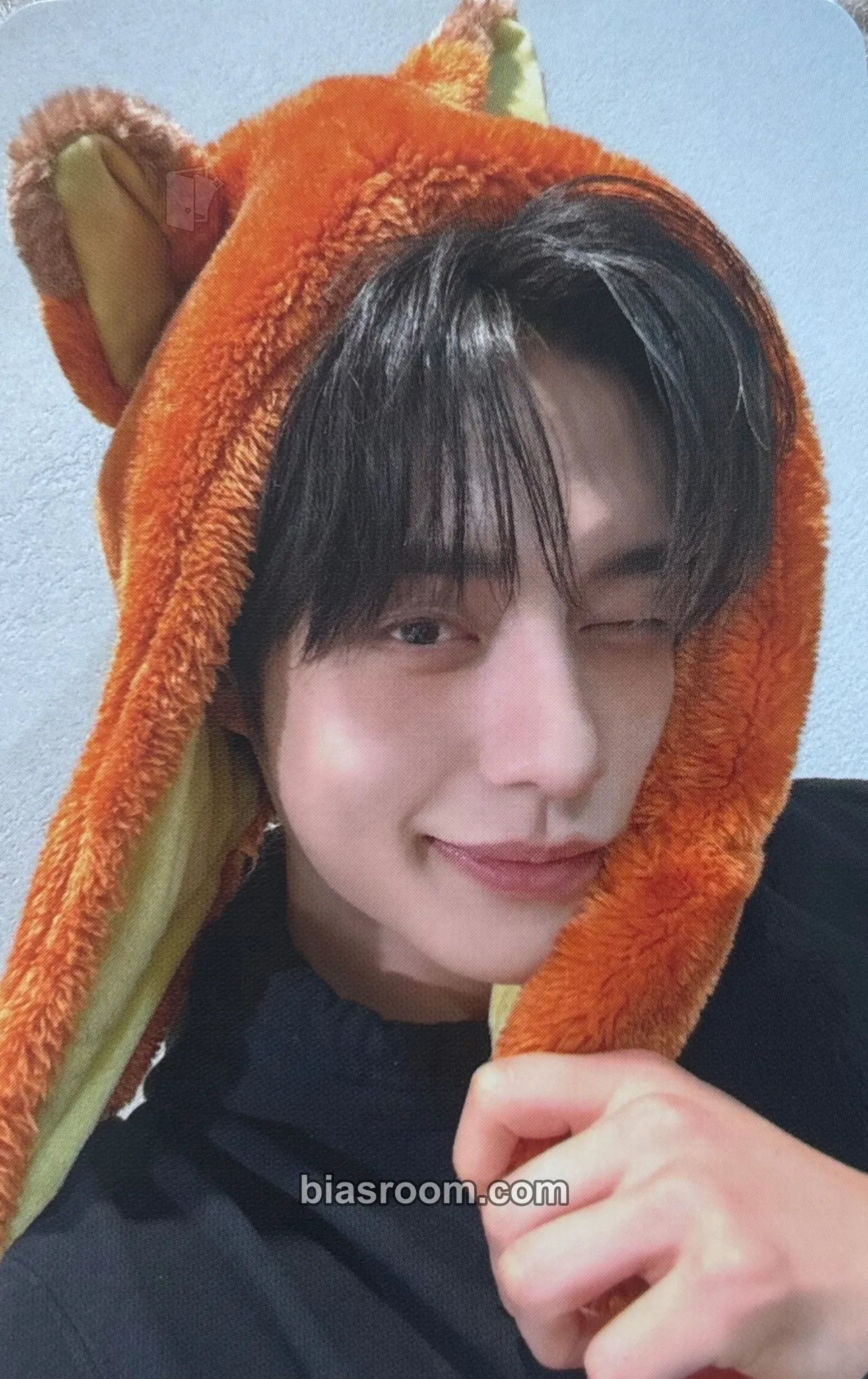 Jiwoong Never Say Never Photocard - ZEROBASEONE - ZEROBASEONE K-pop photocard