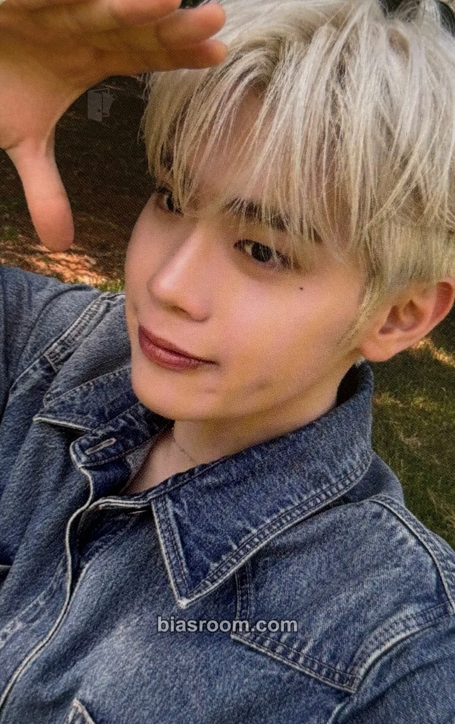 Taerae Never Say Never Photocard - ZEROBASEONE - ZEROBASEONE K-pop photocard