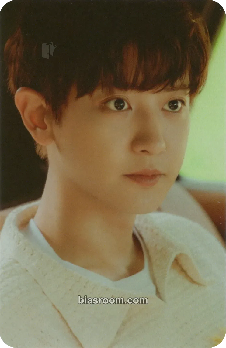 Chanyeol EXO POP UP <EXOcial Club - Cream Soda> in Seoul Photocard - EXO - EXO K-pop photocard