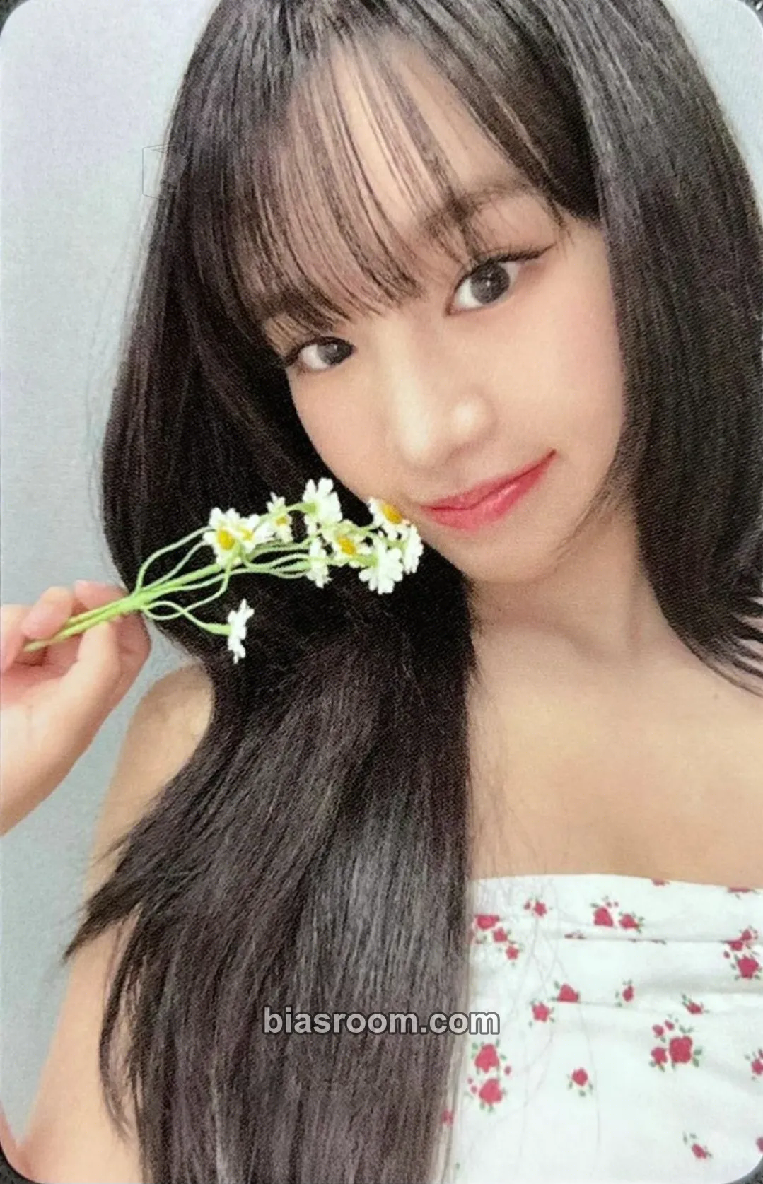 Natty 224 Photocard - KISS OF LIFE - KISS OF LIFE K-pop photocard