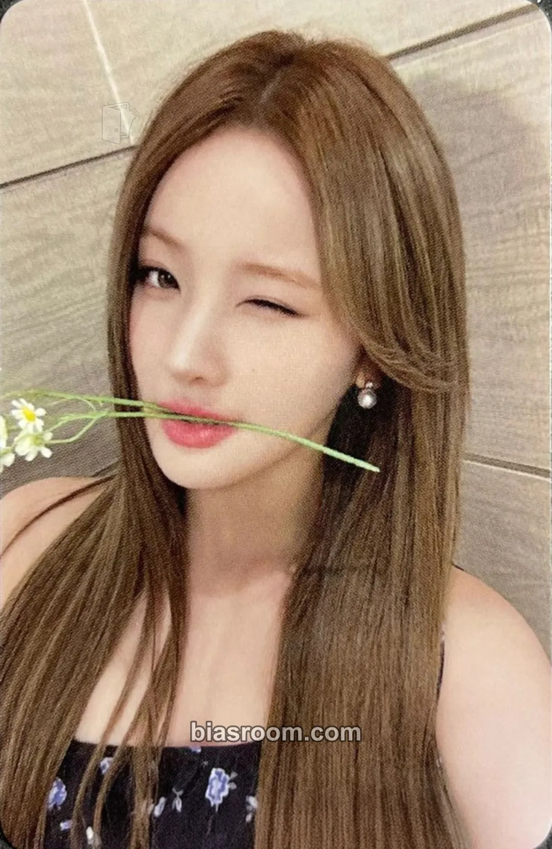 Belle 224 Photocard - KISS OF LIFE - KISS OF LIFE K-pop photocard