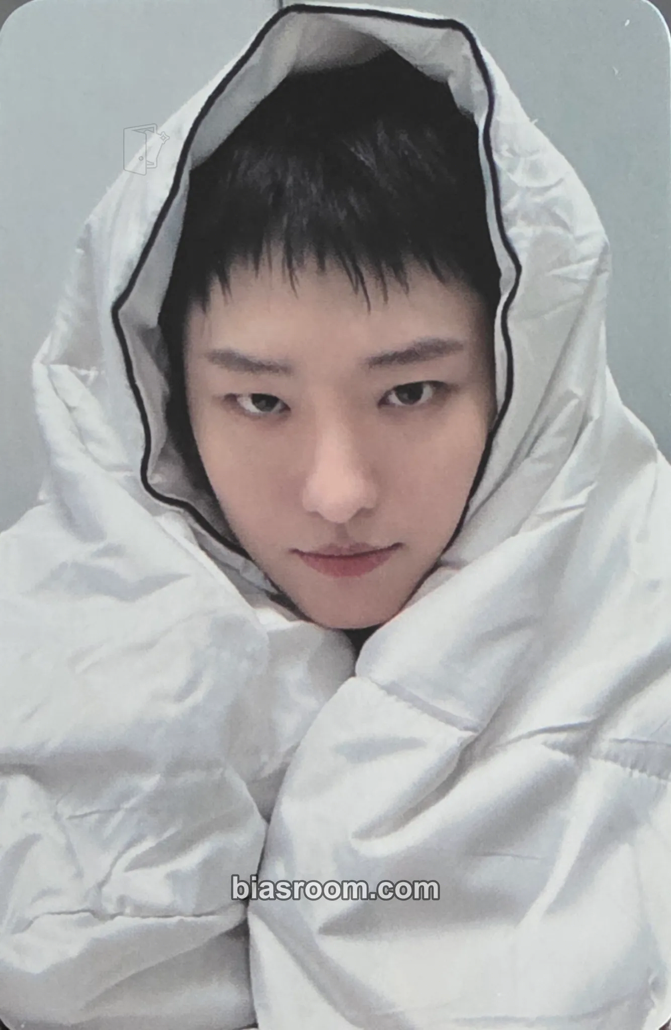 WOODZ Archive. 1 Photocard - WOODZ K-pop photocard