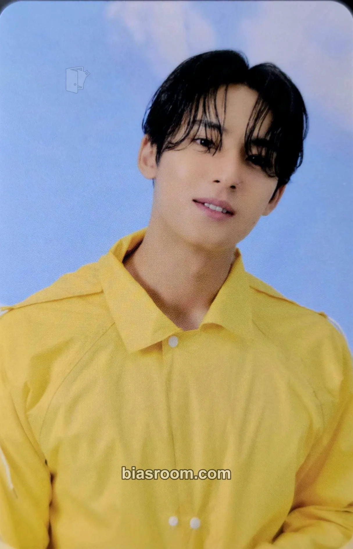 Mingyu Seventeenth Heaven Photocard - SEVENTEEN - SEVENTEEN K-pop photocard
