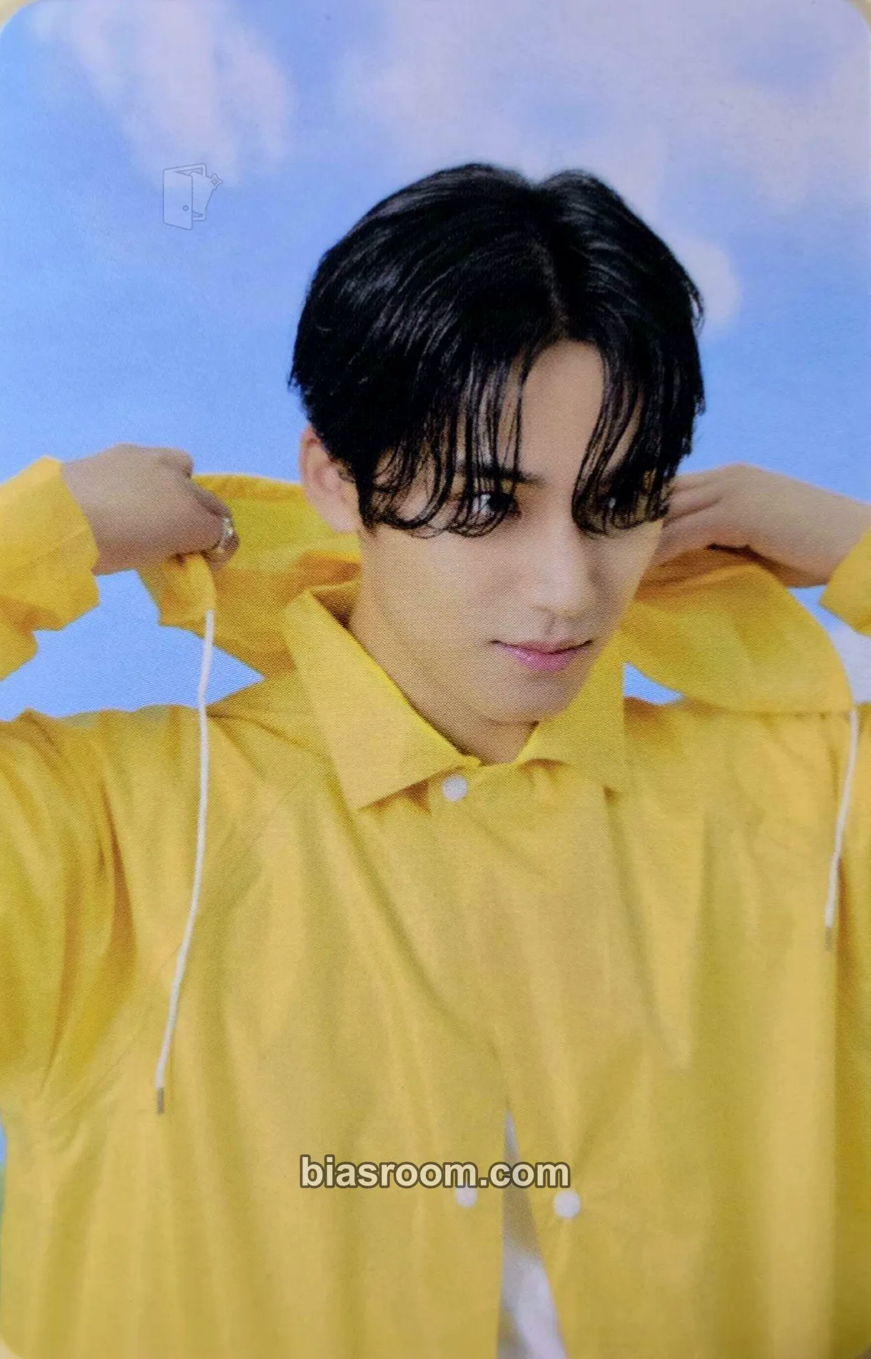Mingyu Seventeenth Heaven Photocard - SEVENTEEN - SEVENTEEN K-pop photocard