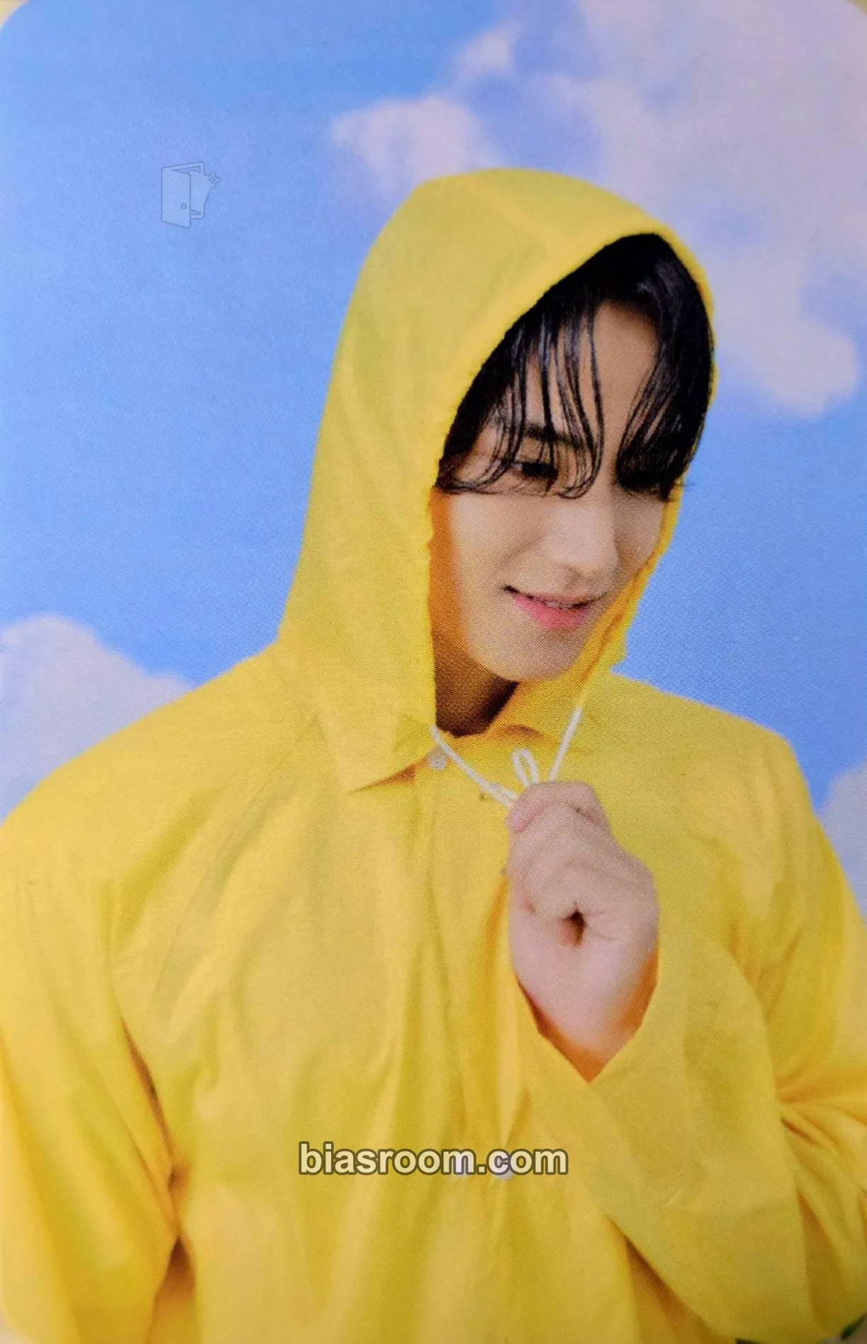 Mingyu Seventeenth Heaven Photocard - SEVENTEEN - SEVENTEEN K-pop photocard