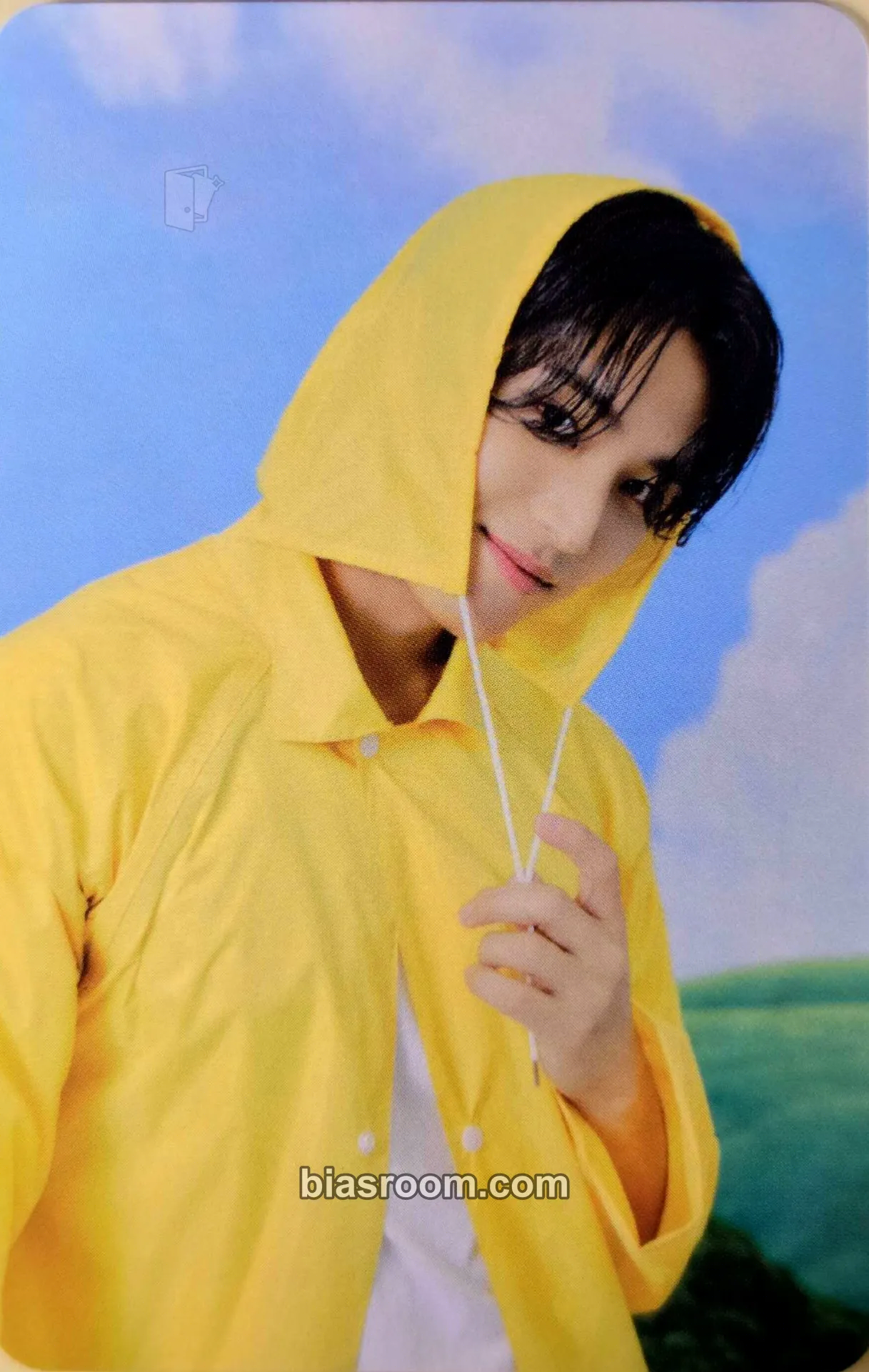 Mingyu Seventeenth Heaven Photocard - SEVENTEEN - SEVENTEEN K-pop photocard
