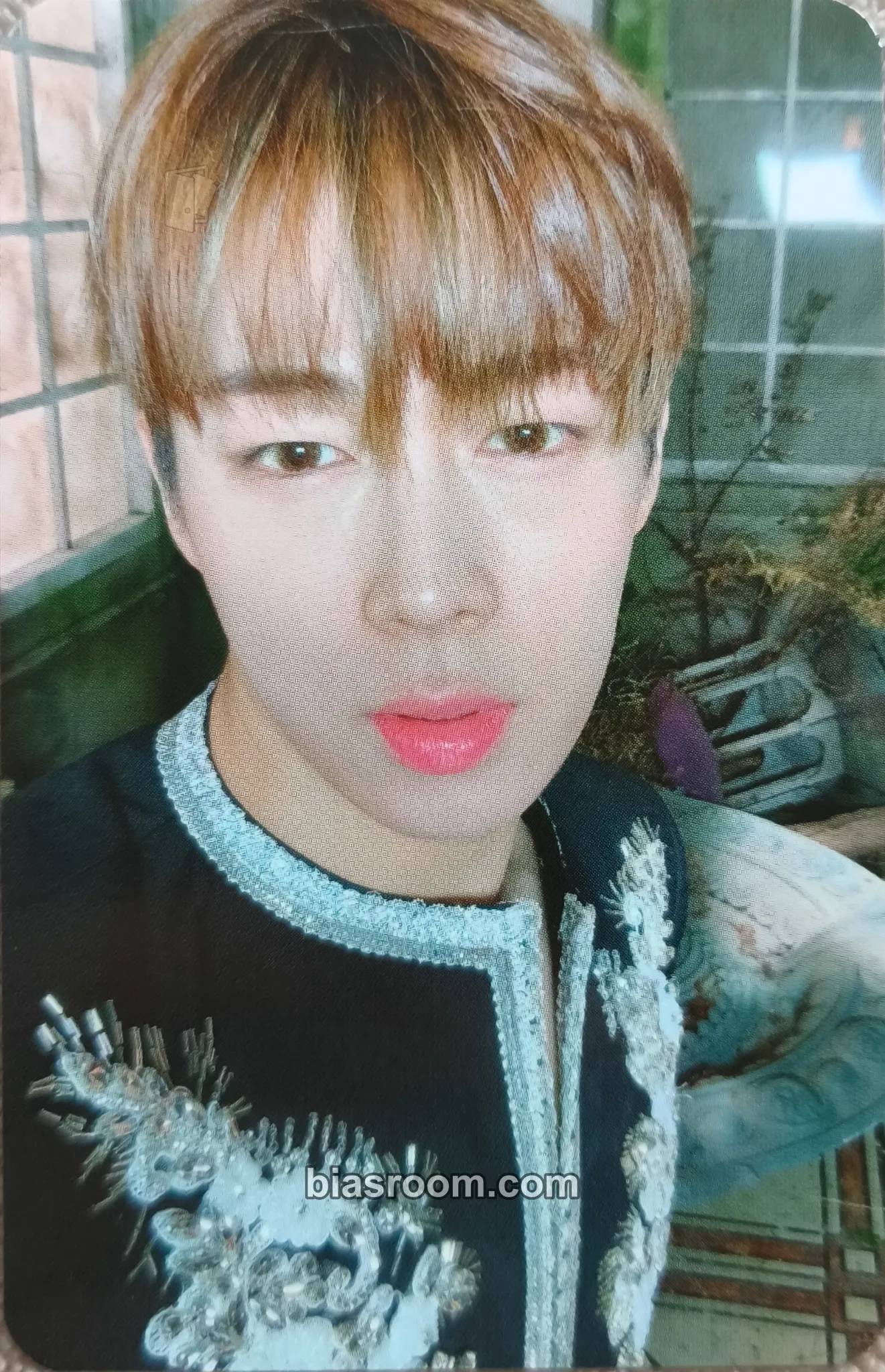 Dawon TURN OVER Photocard - SF9 - SF9 K-pop photocard