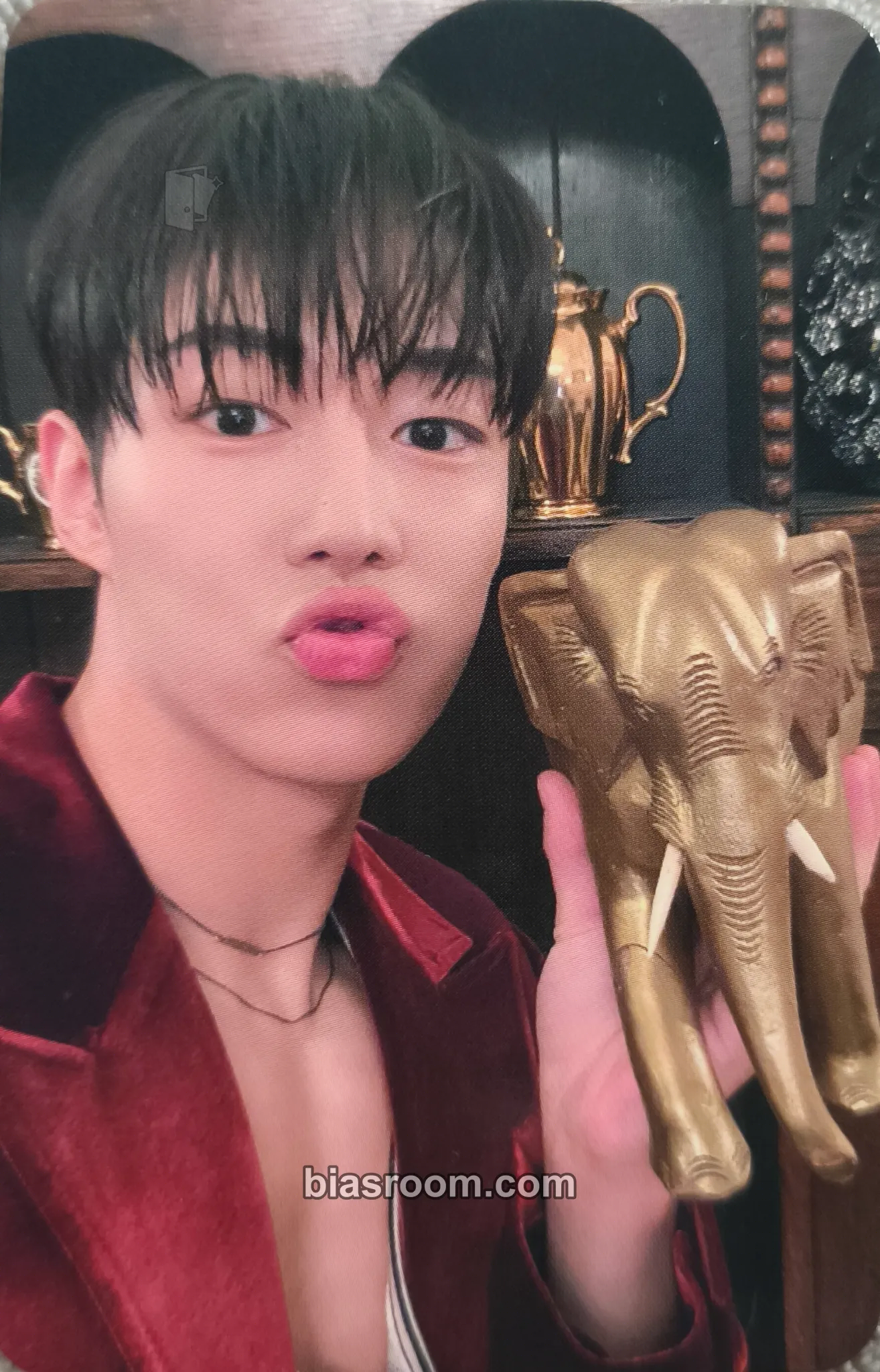 Dawon RUMINATION Photocard - SF9 - SF9 K-pop photocard