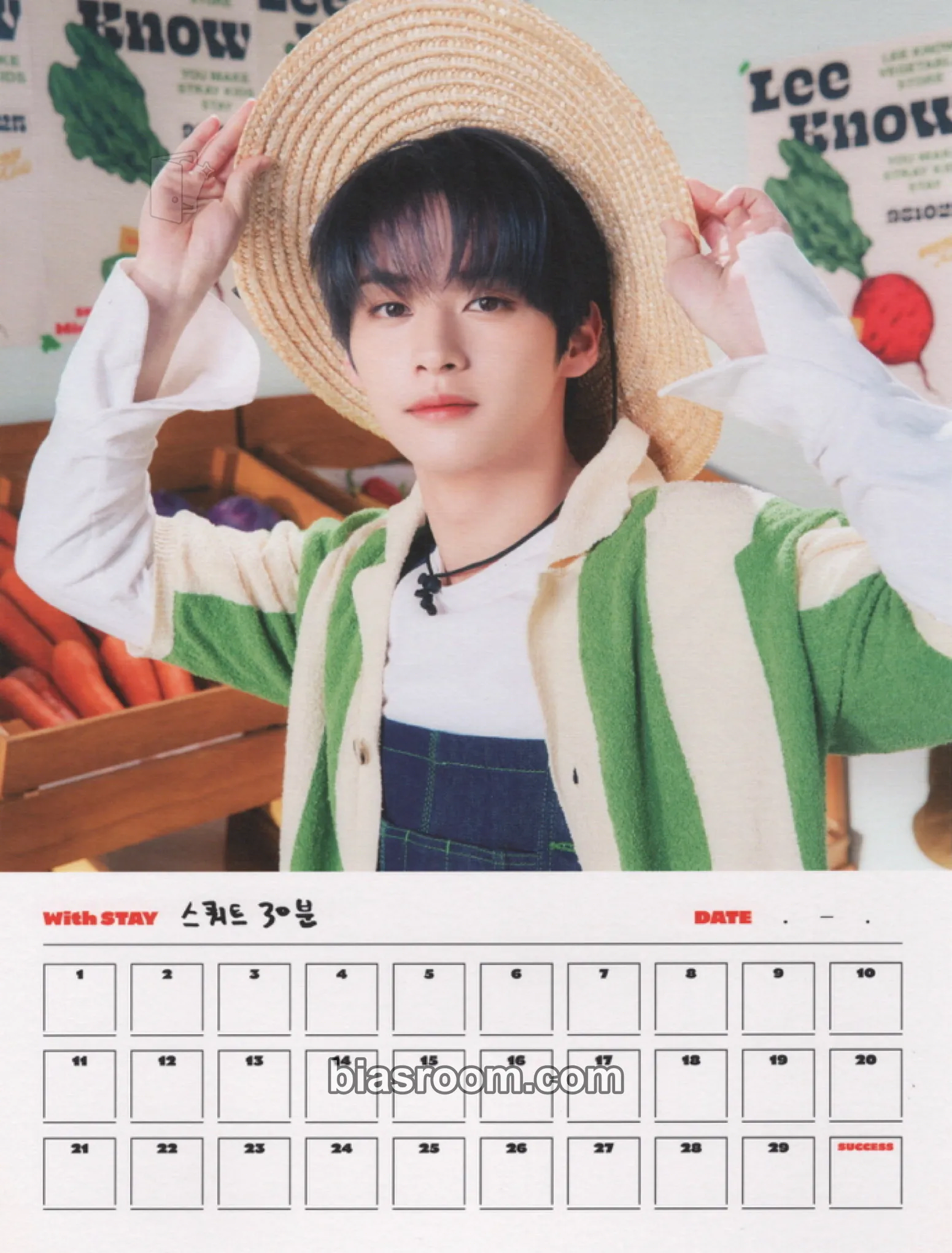 Lee Know 2023 Season's Greetings - SKZ's Mini World Photocard - Stray Kids - Stray Kids K-pop photocard