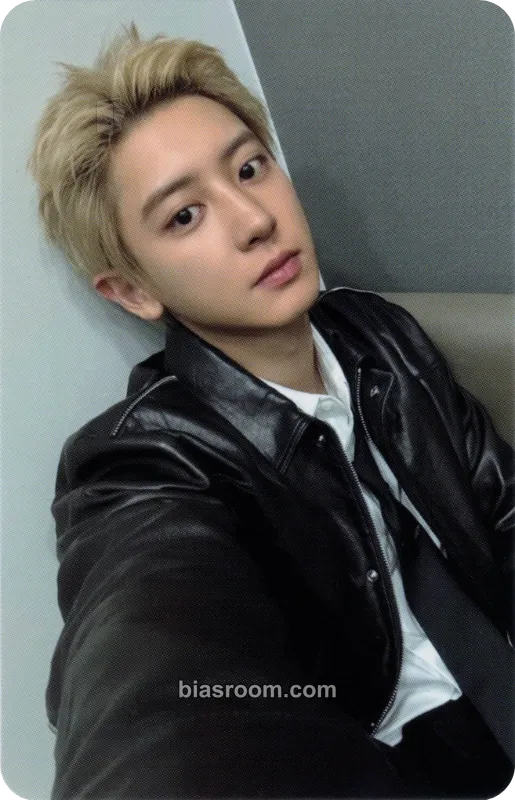 Chanyeol 2024 CHANYEOL Live Tour : 都市風景 (City-scape) + 2025 Epilogue Photocard - EXO - EXO K-pop photocard