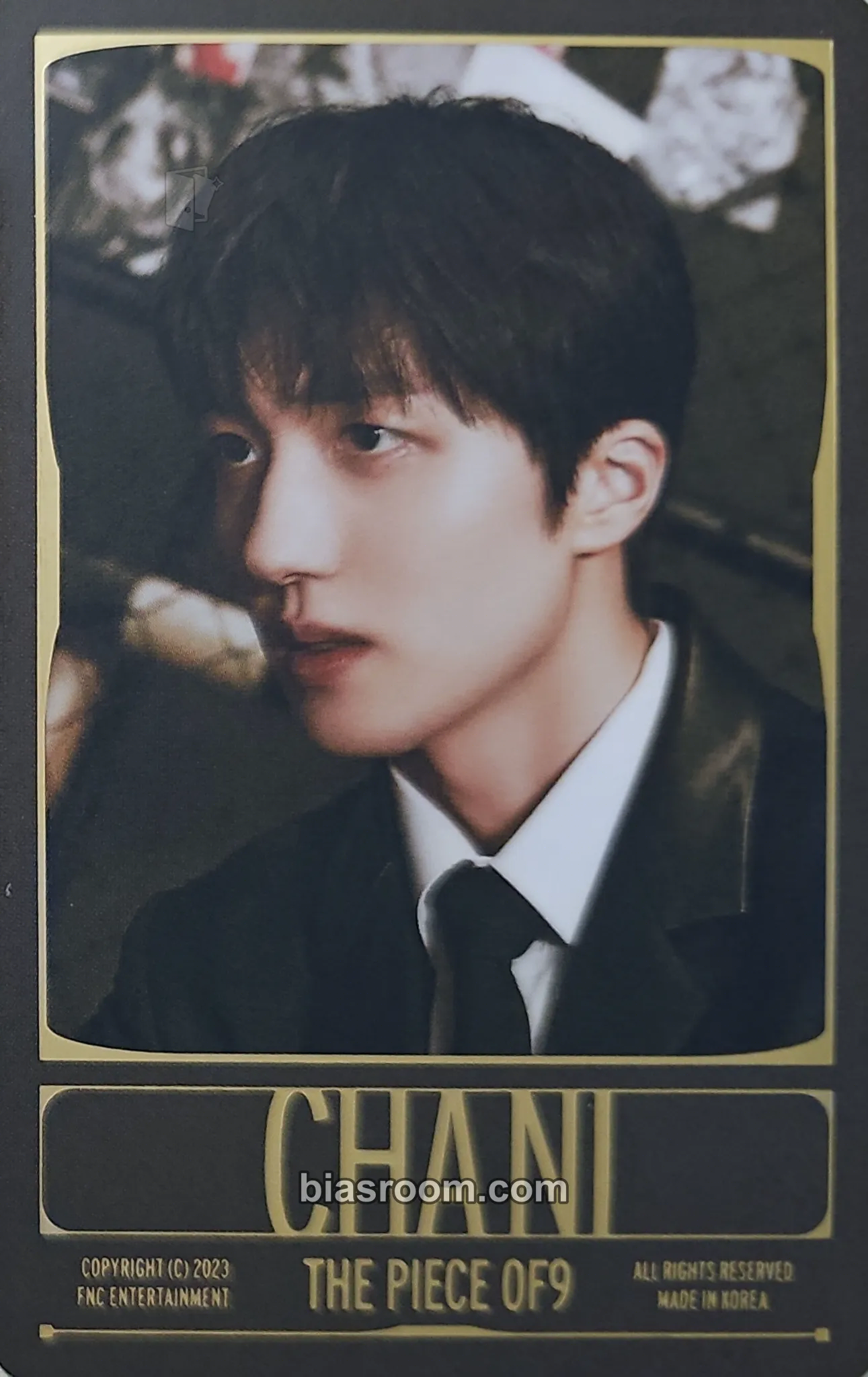 Chani THE PIECE OF9 Photocard - SF9 - SF9 K-pop photocard