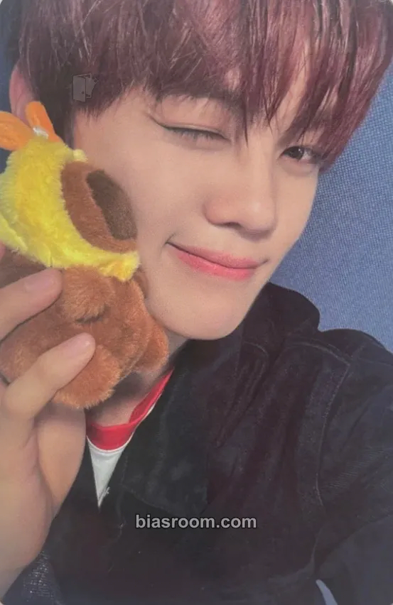 Gyuvin Cinema Paradise Photocard - ZEROBASEONE - ZEROBASEONE K-pop photocard