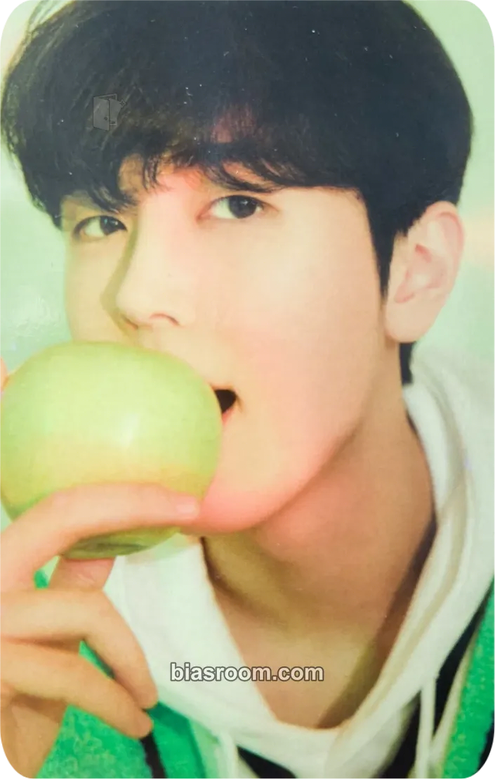 Jaeyoon 2022 Season's Greetings Photocard - SF9 - SF9 K-pop photocard