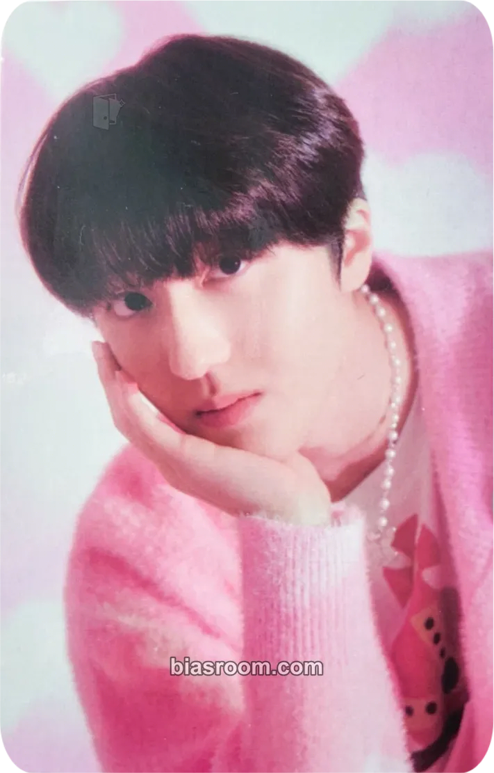 Chani 2022 Season's Greetings Photocard - SF9 - SF9 K-pop photocard