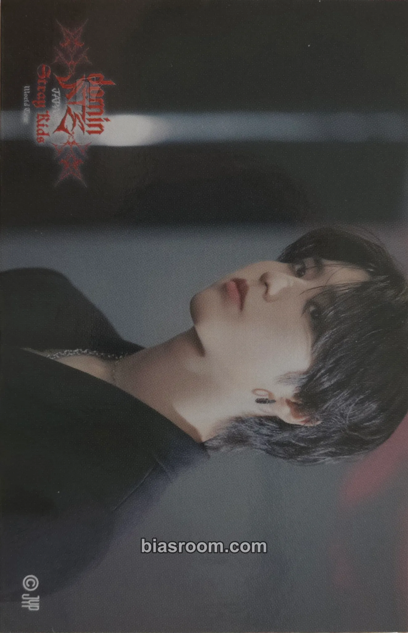 HAN DominATE World Tour Photocard - Stray Kids - Stray Kids K-pop photocard