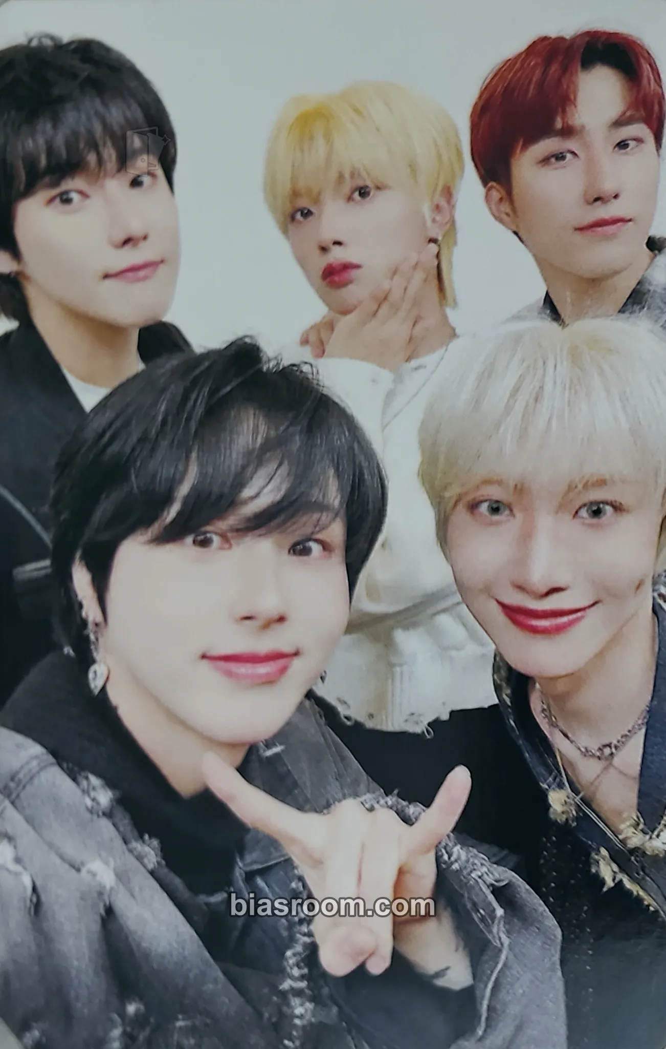 2025 ONEWE WORLD TOUR 'O! NEW E!volution Ⅳ' Photocard - ONEWE - ONEWE K-pop photocard