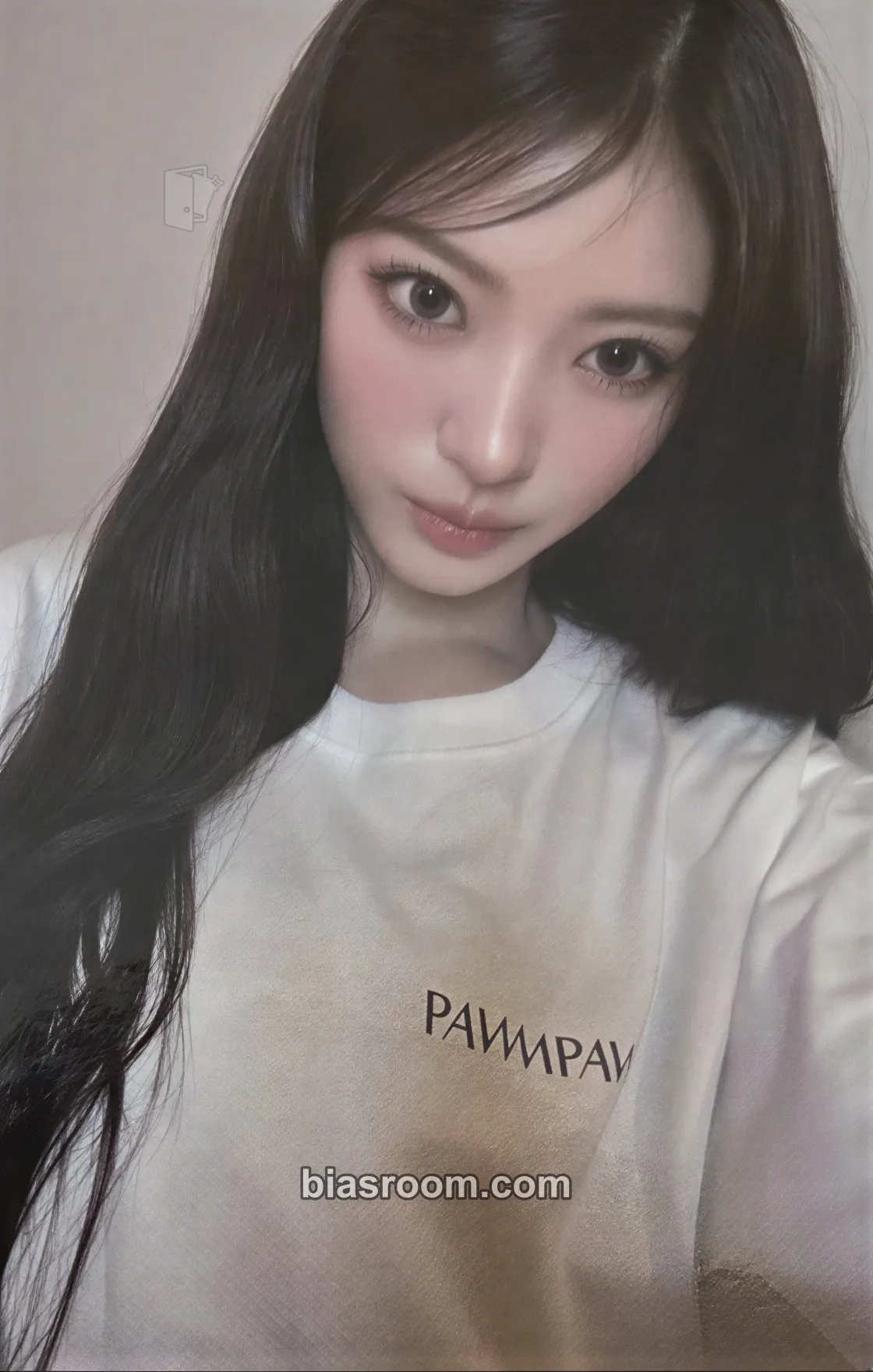 Anna Meovv pawmpawm membership Photocard - MEOVV - MEOVV K-pop photocard