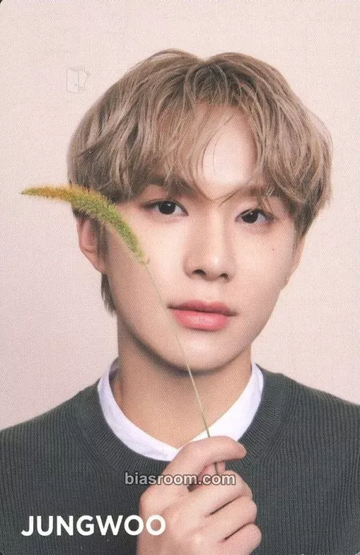 Jungwoo NATURE REPUBLIC x NCT 127 Photocard - NCT 127 - NCT 127 K-pop photocard