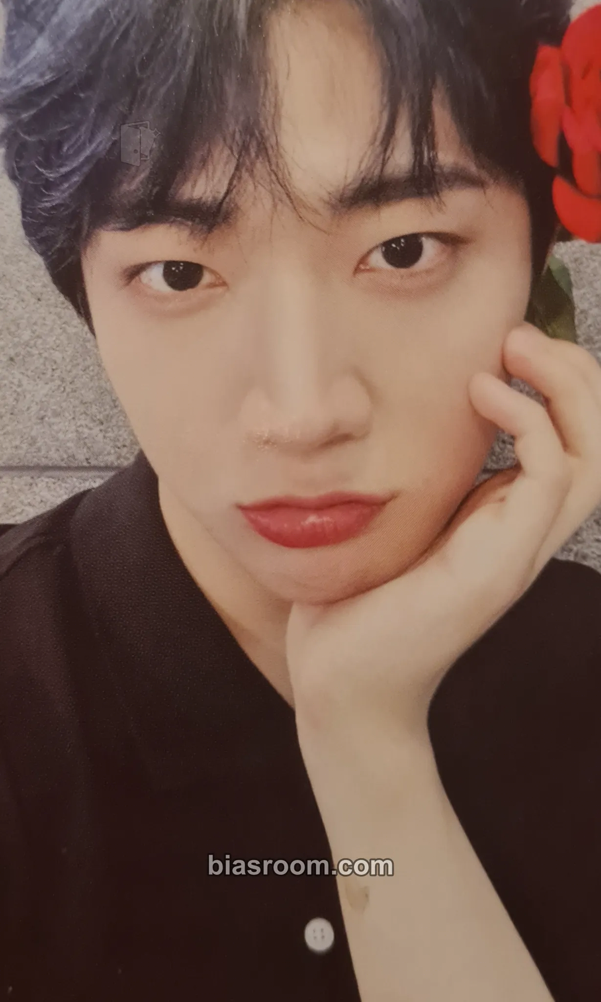 Hyeongseop THE CALM BEFORE THE STORM Photocard - Tempest - Tempest K-pop photocard