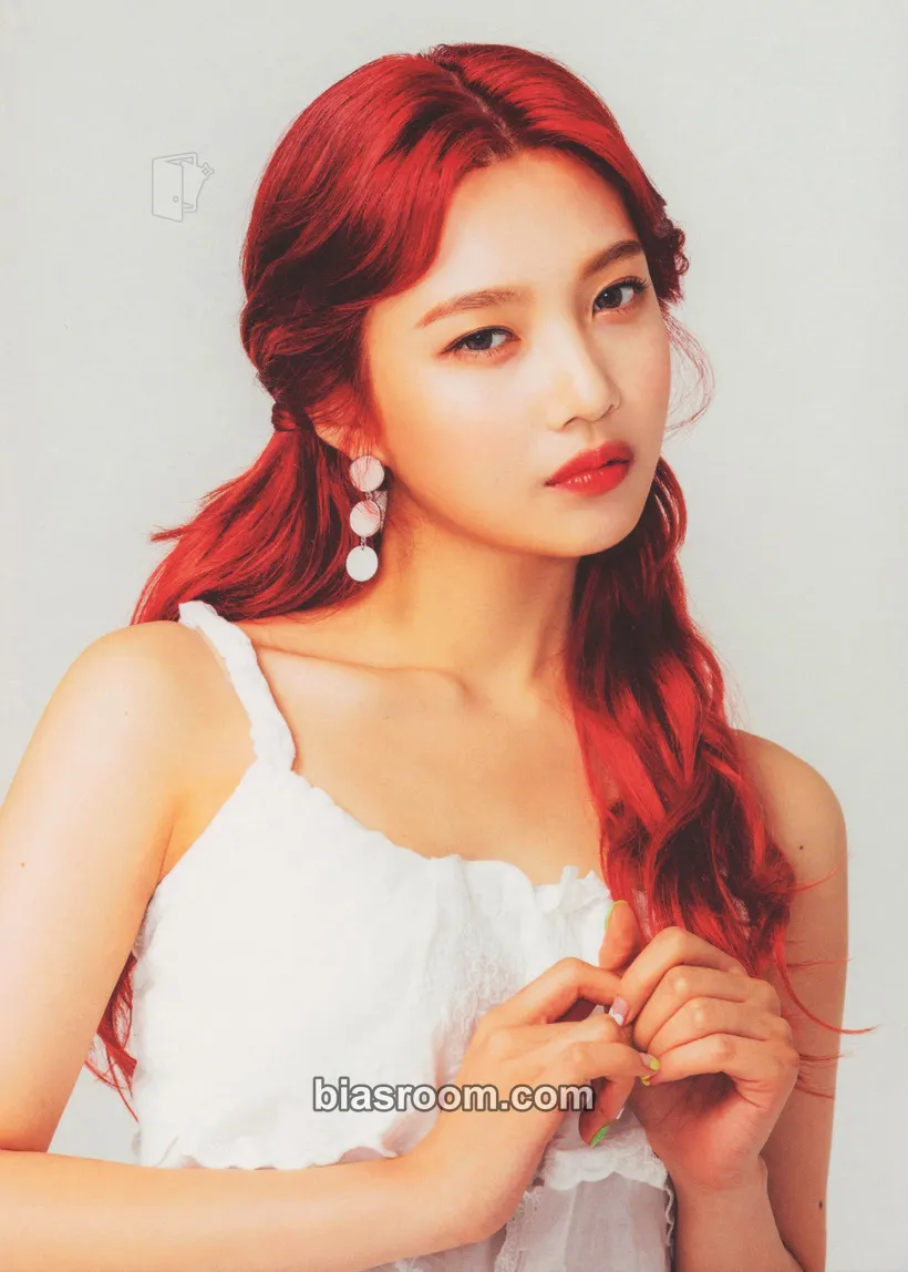 Joy Red Room: Red Velvet First Concert Photocard - Red Velvet - Red Velvet K-pop photocard