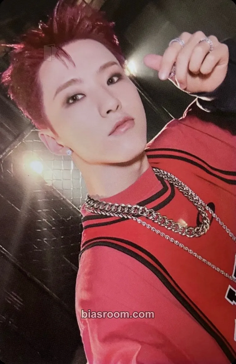 Hoshi Hoshi 'HOSHI VERSE' VOL.1 Photobook Photocard - SEVENTEEN - SEVENTEEN K-pop photocard