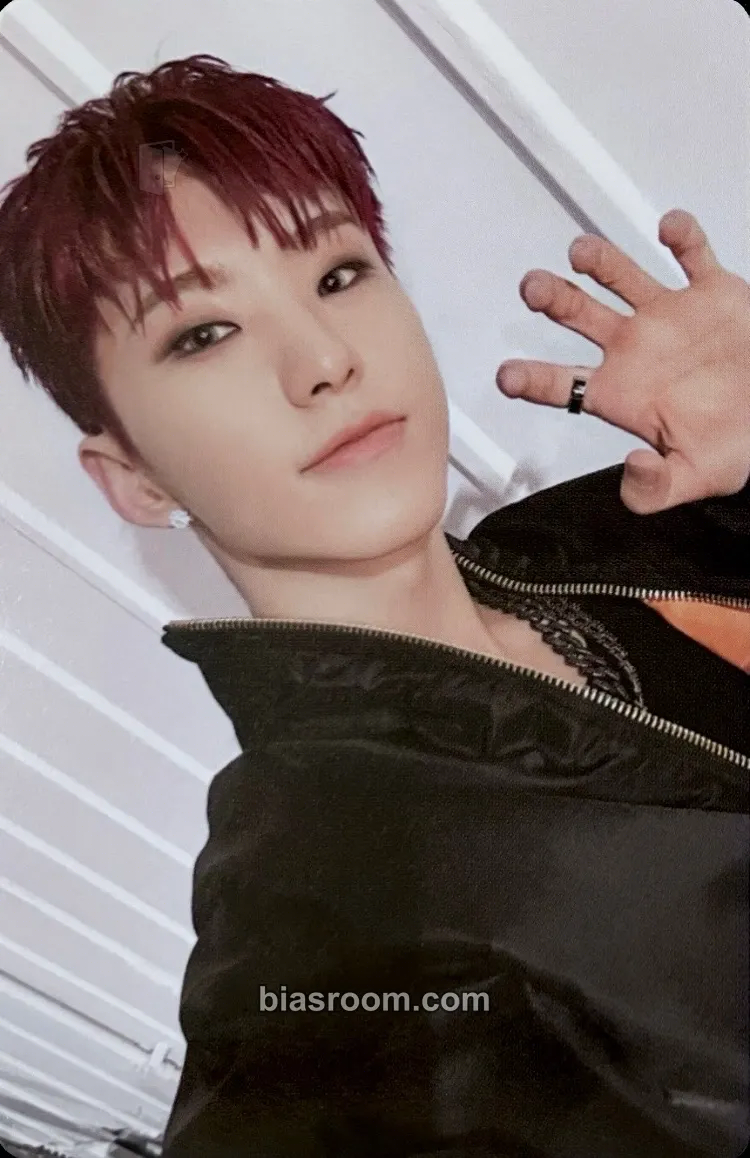 Hoshi Hoshi 'HOSHI VERSE' VOL.1 Photobook Photocard - SEVENTEEN - SEVENTEEN K-pop photocard