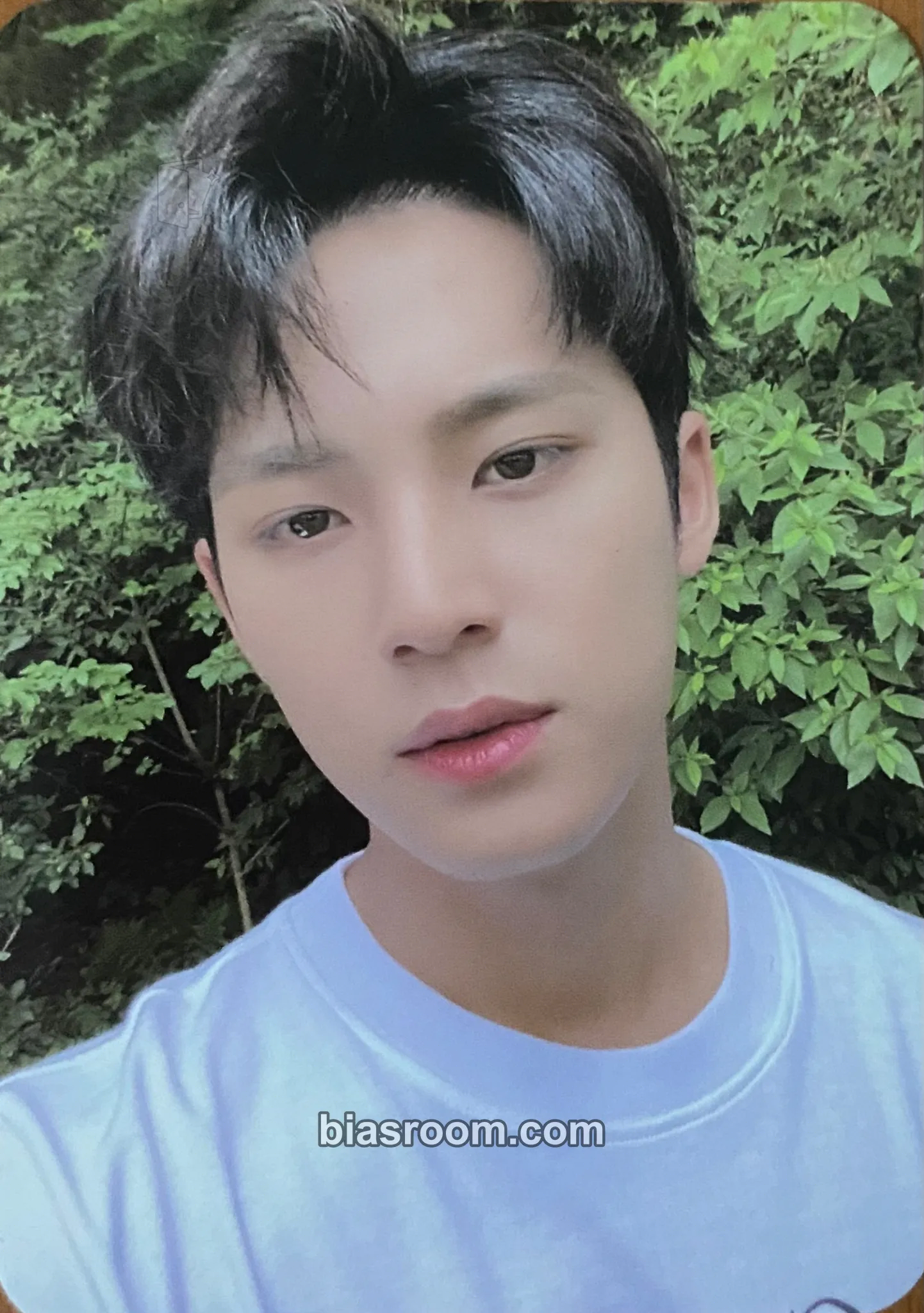 Mingyu DICON My Choice Is... Magazine Photocard - SEVENTEEN - SEVENTEEN K-pop photocard