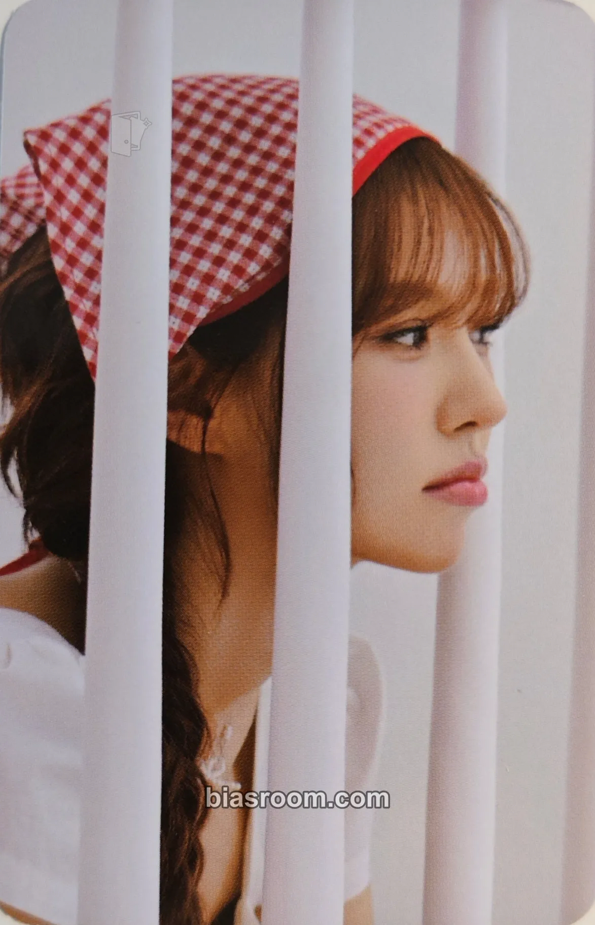 Wendy 2026 Season's Greetings Photocard - Red Velvet - Red Velvet K-pop photocard