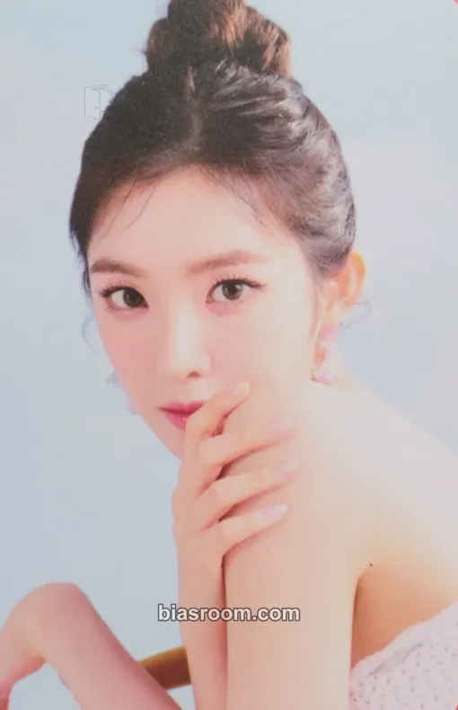 Irene 2025 Season's Greeting Photocard - Red Velvet - Red Velvet K-pop photocard
