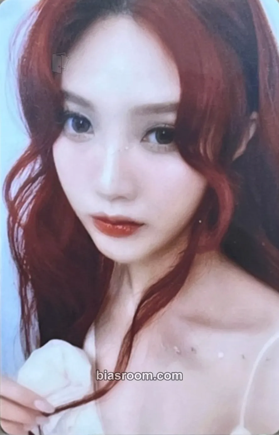 Joy 2025 Season's Greeting Photocard - Red Velvet - Red Velvet K-pop photocard