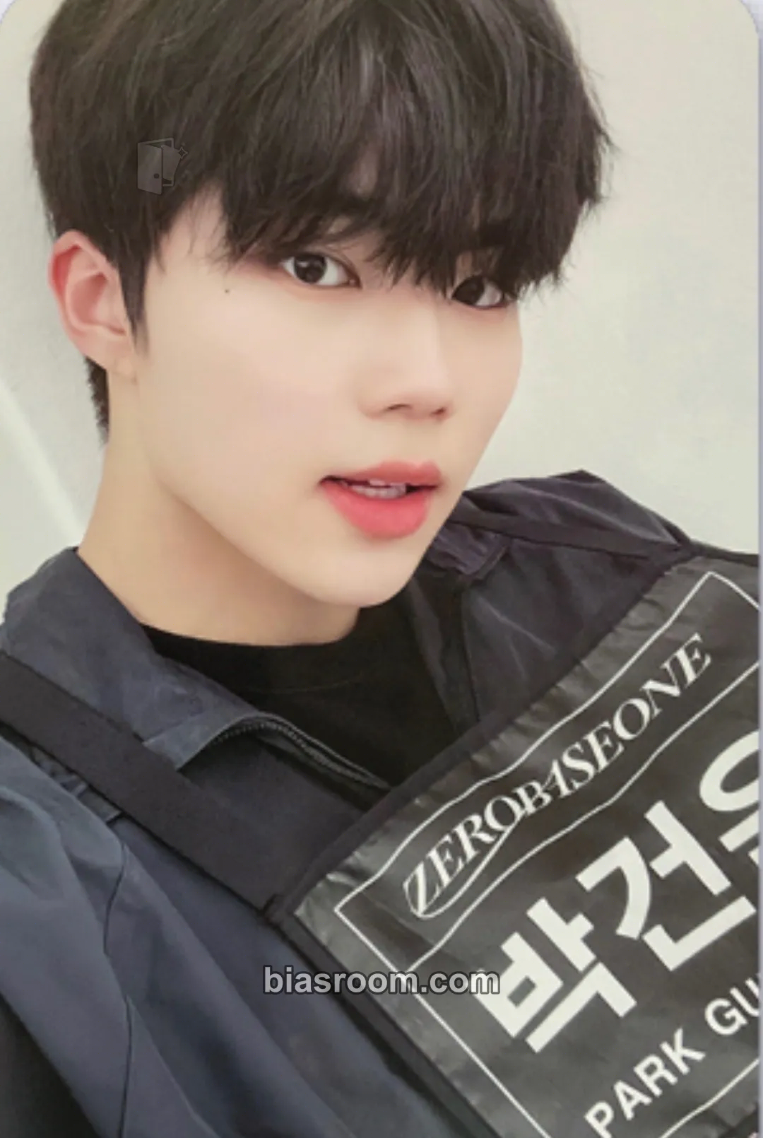 Gunwook Melting Point Photocard - ZEROBASEONE - ZEROBASEONE K-pop photocard