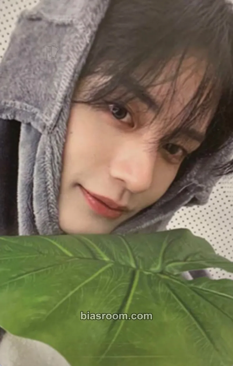Jiwoong Melting Point Photocard - ZEROBASEONE - ZEROBASEONE K-pop photocard
