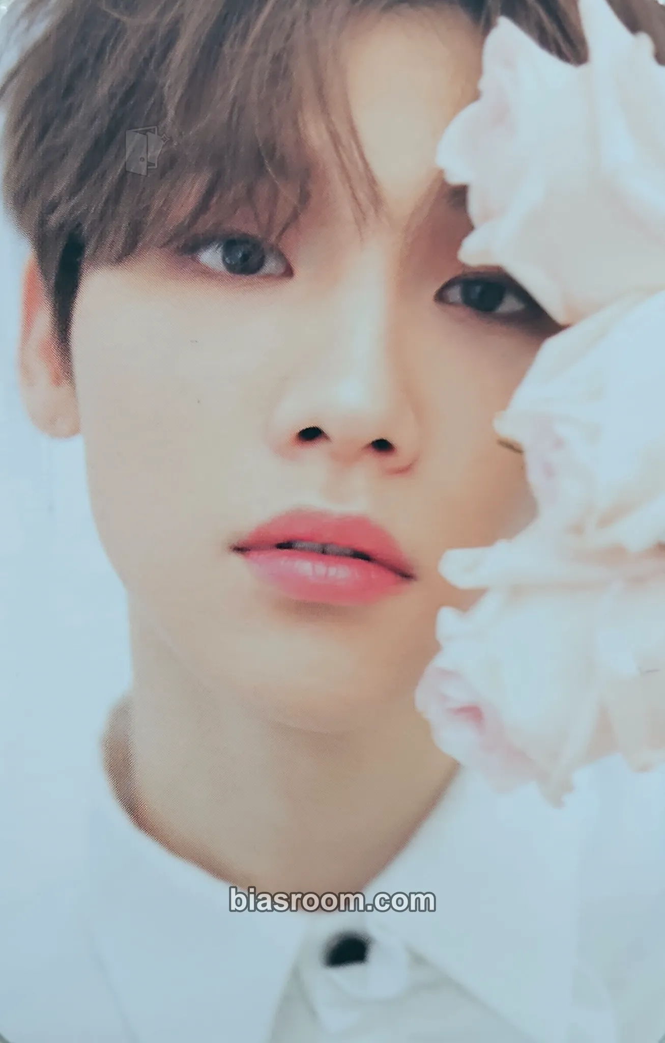 Woong ABNEW Fanclub 1st Official Fan Kit Photocard - AB6IX - AB6IX K-pop photocard