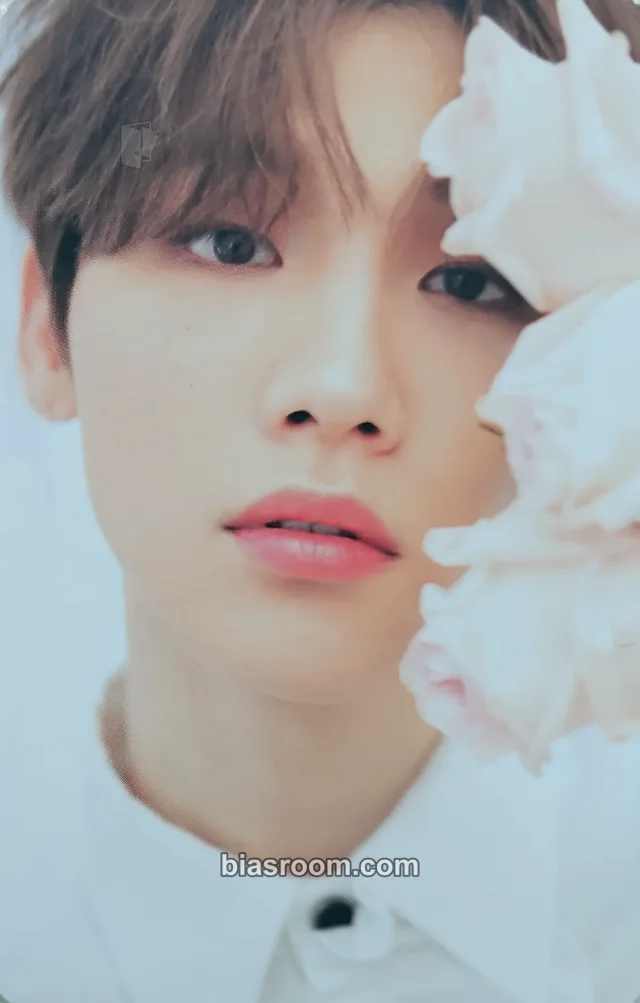 AB6IX - Woong - ABNEW Fanclub 1st Official Fan Kit Other fanclub/membership photocard set