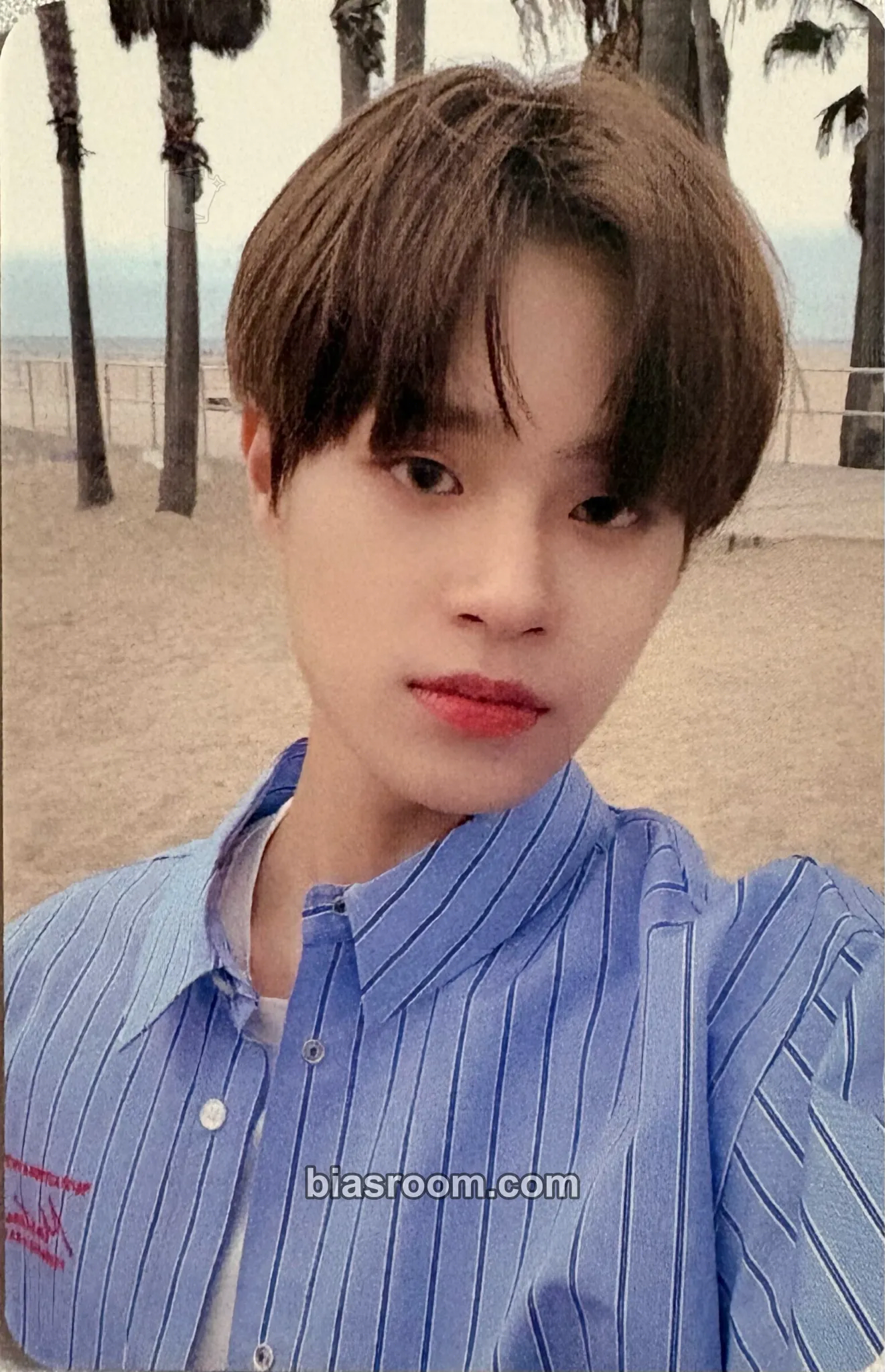 Daehwi 6IXENSE Photocard - AB6IX - AB6IX K-pop photocard
