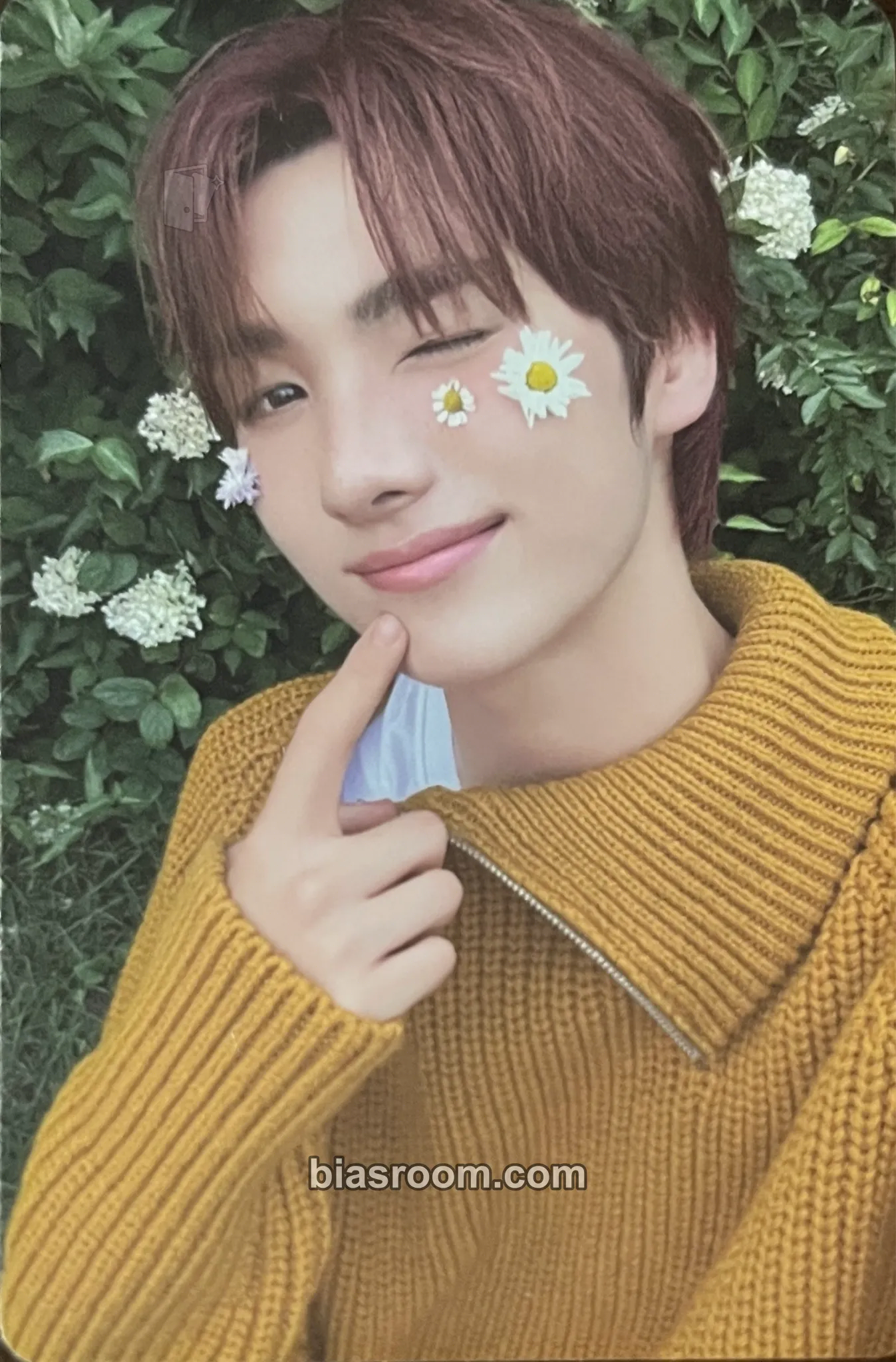Youngjae 2025 Seasons Greetings - Things We Love Photocard - TWS - TWS K-pop photocard
