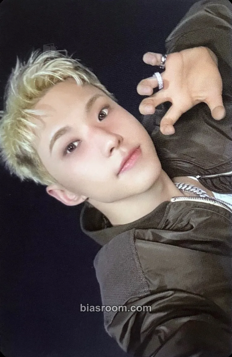 Hoshi Hoshi 'HOSHI VERSE' VOL.1 Photobook Photocard - SEVENTEEN - SEVENTEEN K-pop photocard