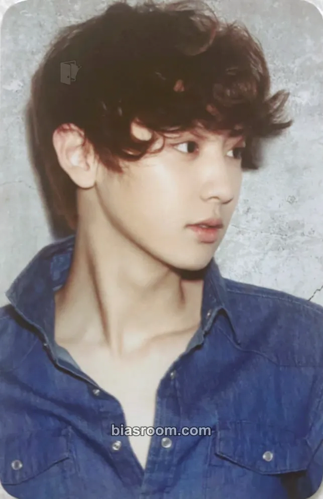 Chanyeol EXO's 10th Debut Anniversary MD Photocard - EXO - EXO K-pop photocard