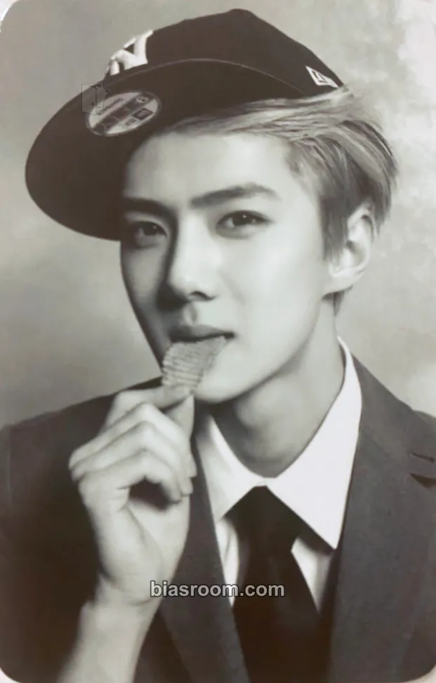 Sehun EXO's 10th Debut Anniversary MD Photocard - EXO - EXO K-pop photocard