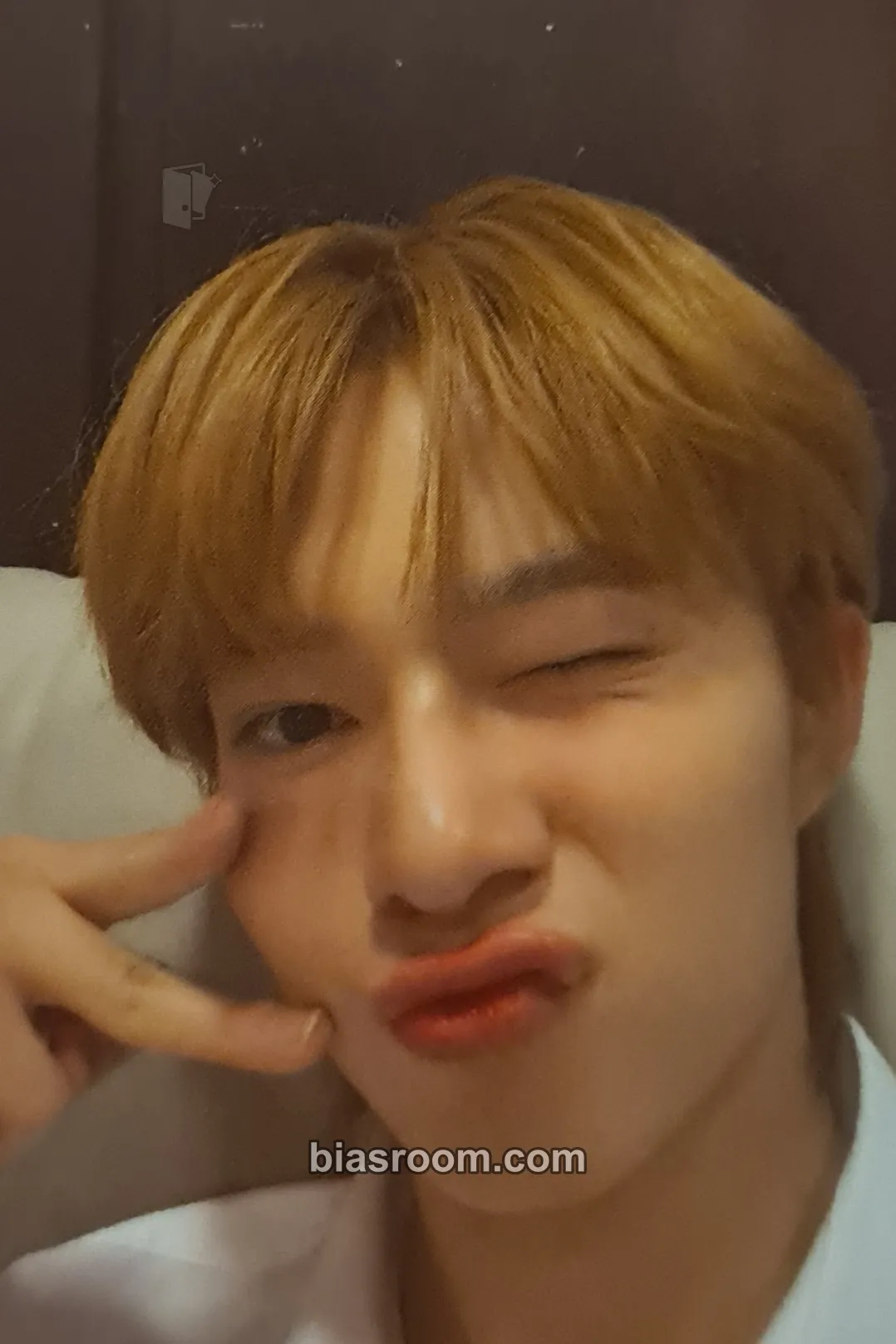 NuNew 2025 DMD Line Up: "Glow Up" Photocard - NuNew K-pop photocard