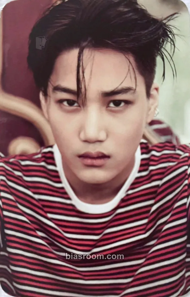 Kai EXO's 10th Debut Anniversary MD Photocard - EXO - EXO K-pop photocard